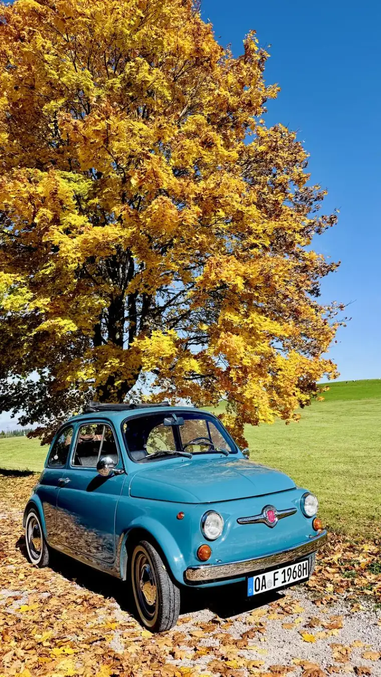 Fiat 500 im Herbst Allgäu
